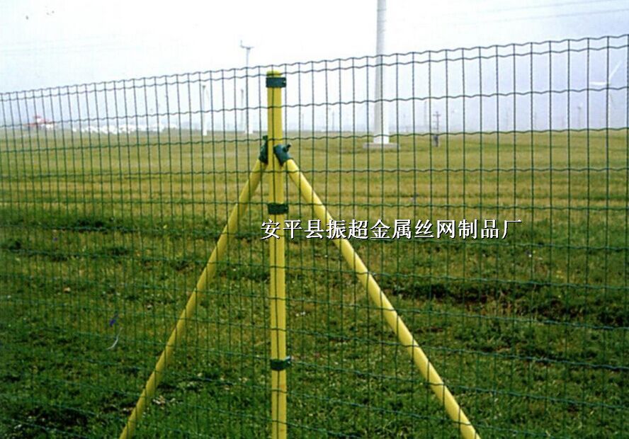 䓽zW