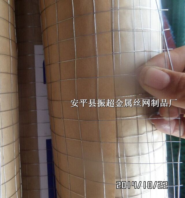 z䓽zW-m.koguitars.com
