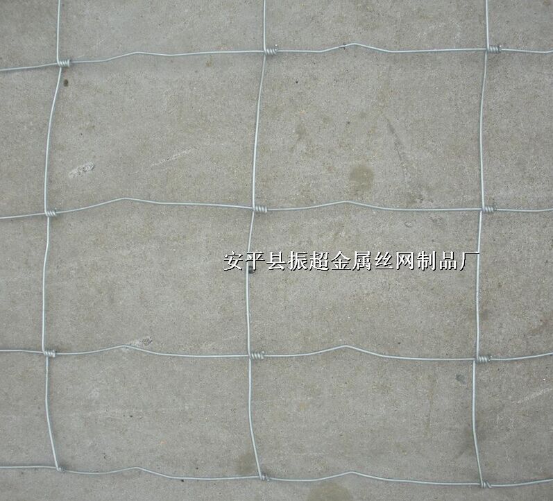 䓽zW(wng)-m.koguitars.com