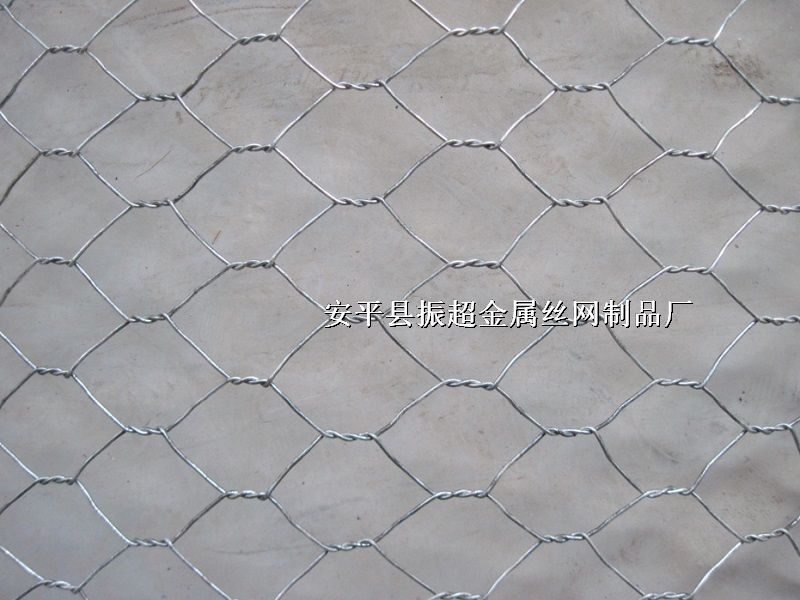 䓽zW(wng)m.koguitars.com