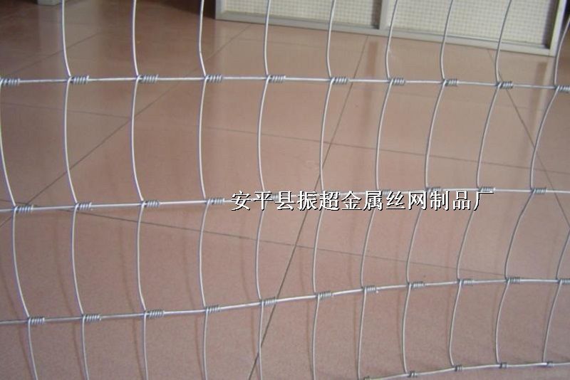 䓽zWrhttp://m.koguitars.com