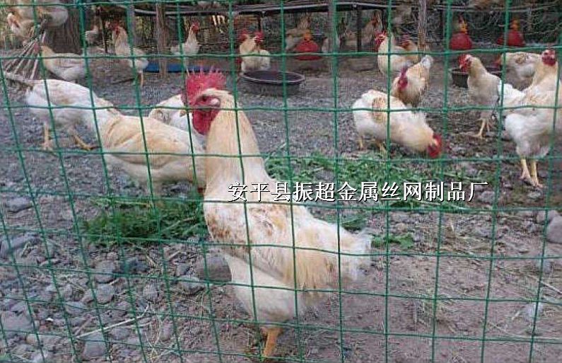 uW,uW,ȦuW,FzWhttp://m.koguitars.com