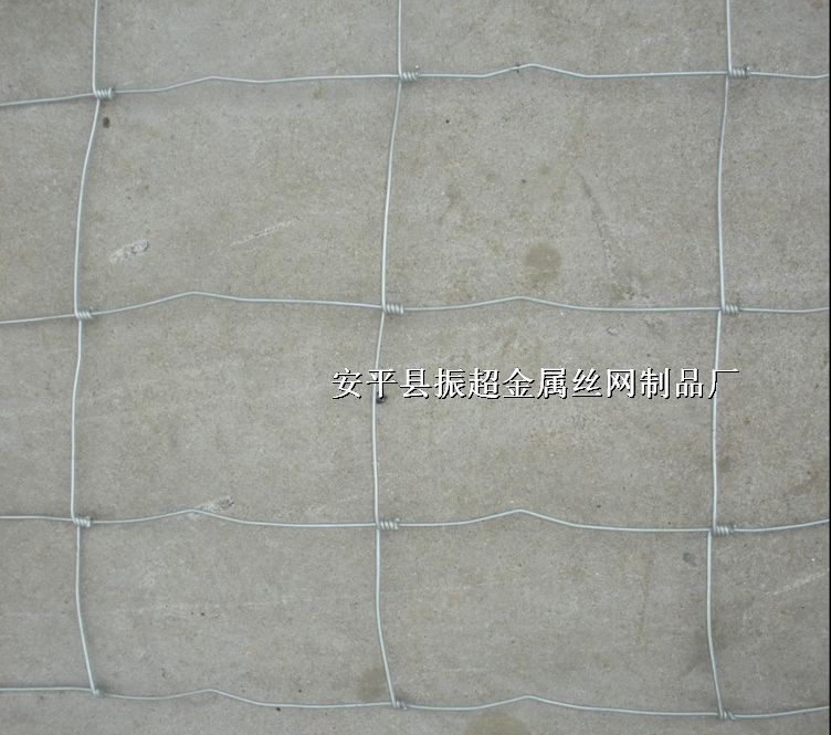 ԭ䓽zW,Ȧţ䓽zWhttp://m.koguitars.com