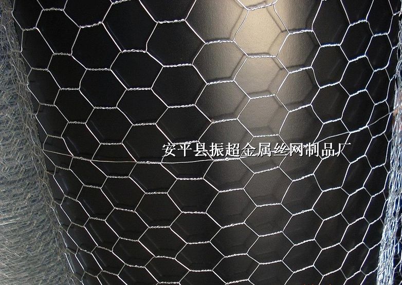 rW䓽zWhttp://m.koguitars.com