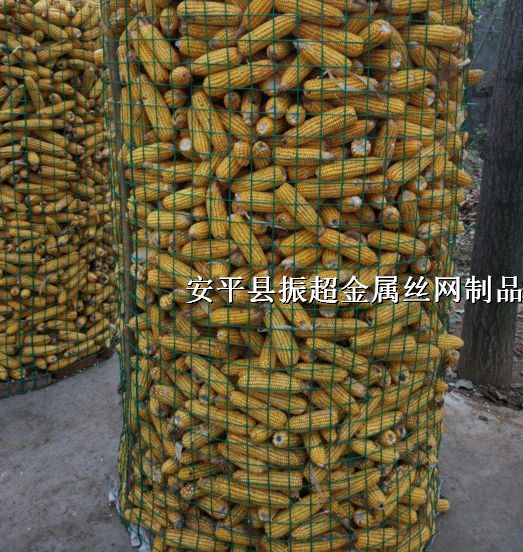 Ȧ׾W׾Whttp://m.koguitars.com